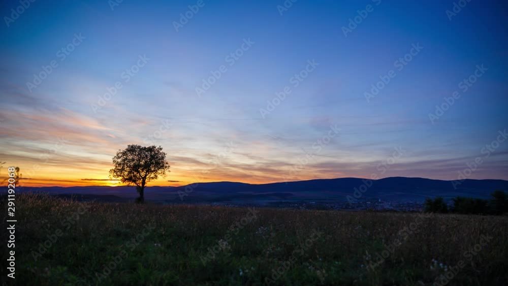 Day to night Time-Lapse of a lonely Tree on a meadow. Small town evening lights in the background. Day to night Time-Lapse of a lonely Tree on a meadow. Small town evening lights in the background.