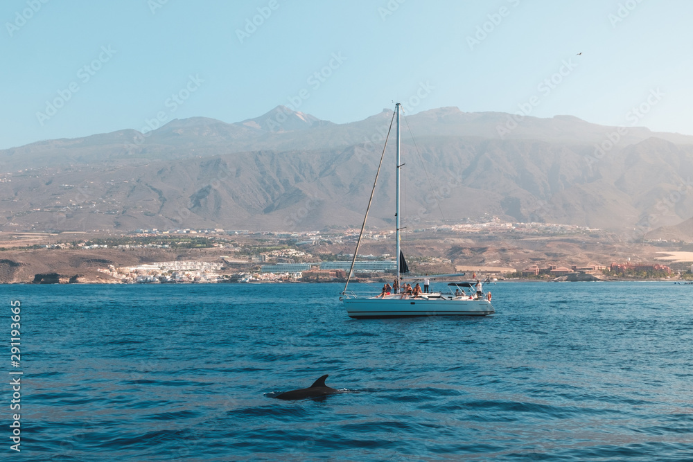  group of people on boat for whale watching tour looking at dolphin