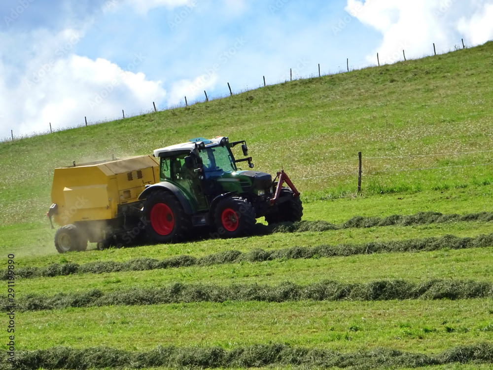 Fototapeta premium tractor mowing grass on a sloping meadow in midsummer