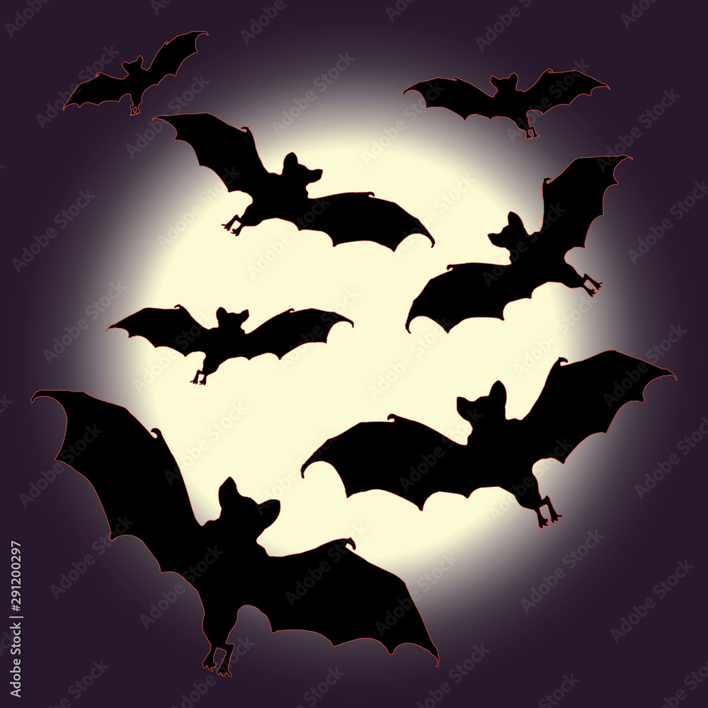 solated images of bats on dark background, moon background solated images of bats on dark background, moon background