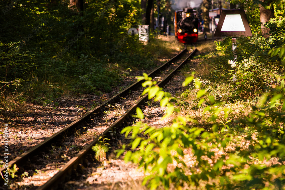 Naklejka premium Small Steam Locomotive, Narrow Gauge Railway, Narrow gauge railway in forest