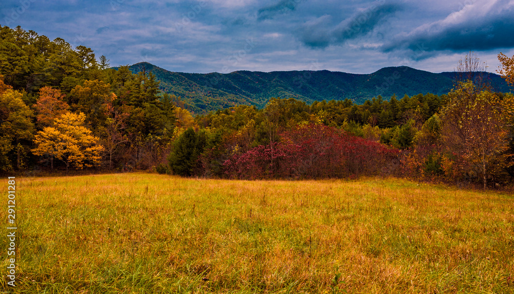 It's Starting To Look Like Fall It's Starting To Look Like Fall