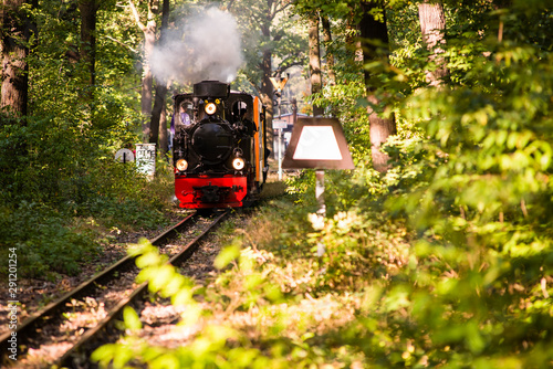 Small Steam Locomotive, Narrow Gauge Railway, Narrow gauge railway in forest