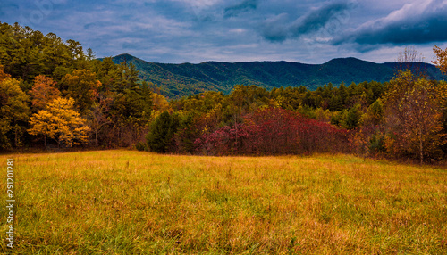 It's Starting To Look Like Fall