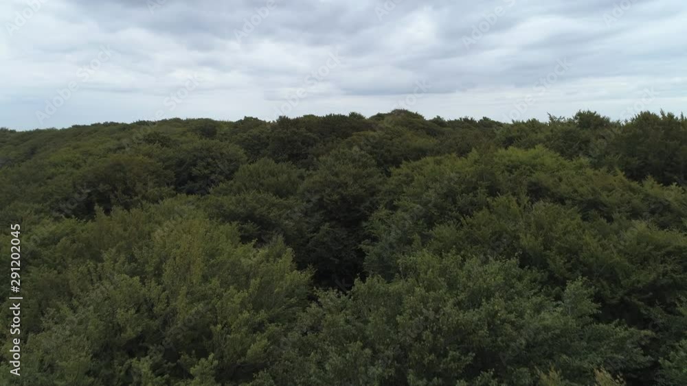 Aerial drone shot flying close over treetops in deciduous forest. Nature background in 4K resolution Aerial drone shot flying close over treetops in deciduous forest. Nature background in 4K resolution