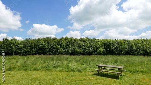 Table de picnic vide dans un champ