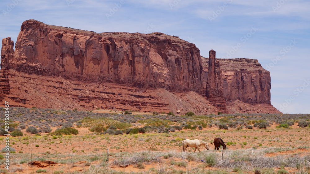 Horses Grazing Near Monument Valley
