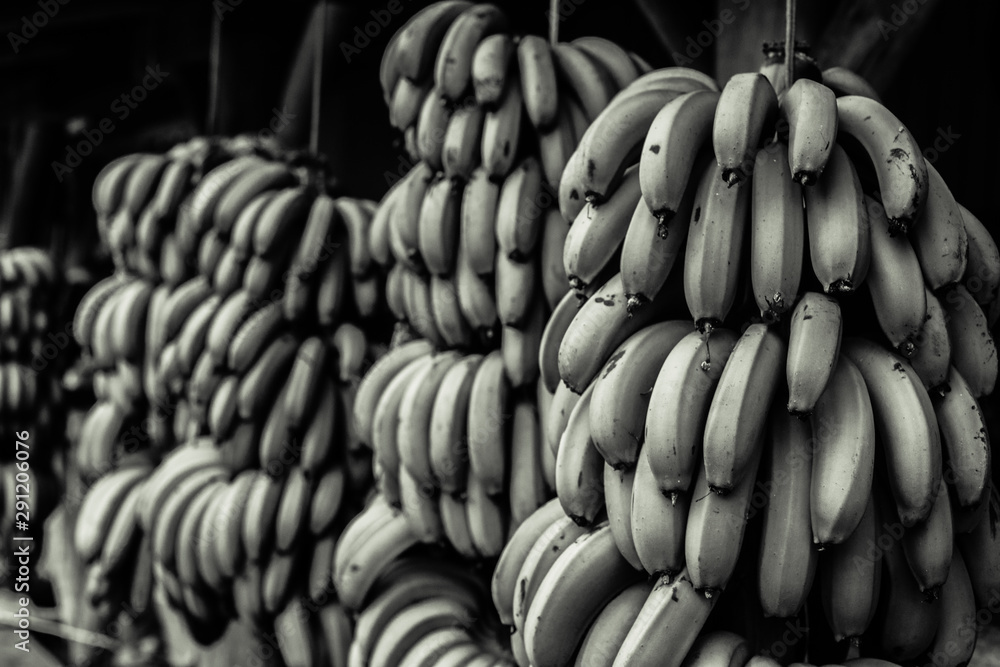 Cachos de Bananas Orgâncias em Preto Branco