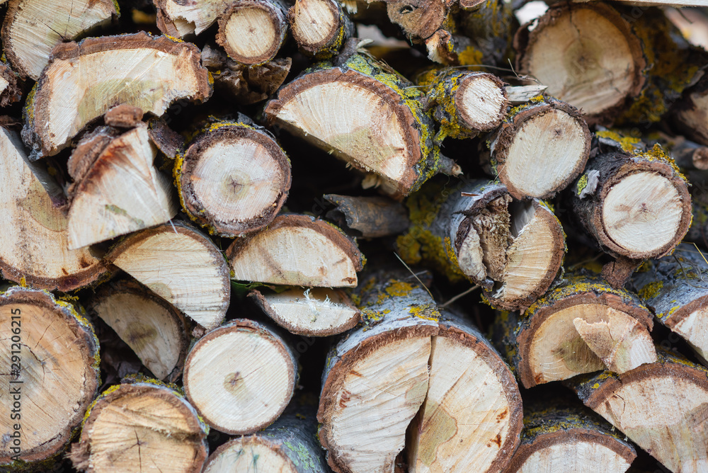 Stack of logs. Stack of firewood close up. Logs cuts prepared for fireplace. Woodpile. Wood for fireplace. Wood for winter. Firewood background . Stack of logs. Stack of firewood close up. Logs cuts prepared for fireplace. Woodpile. Wood for fireplace. Wood for winter. Firewood background .