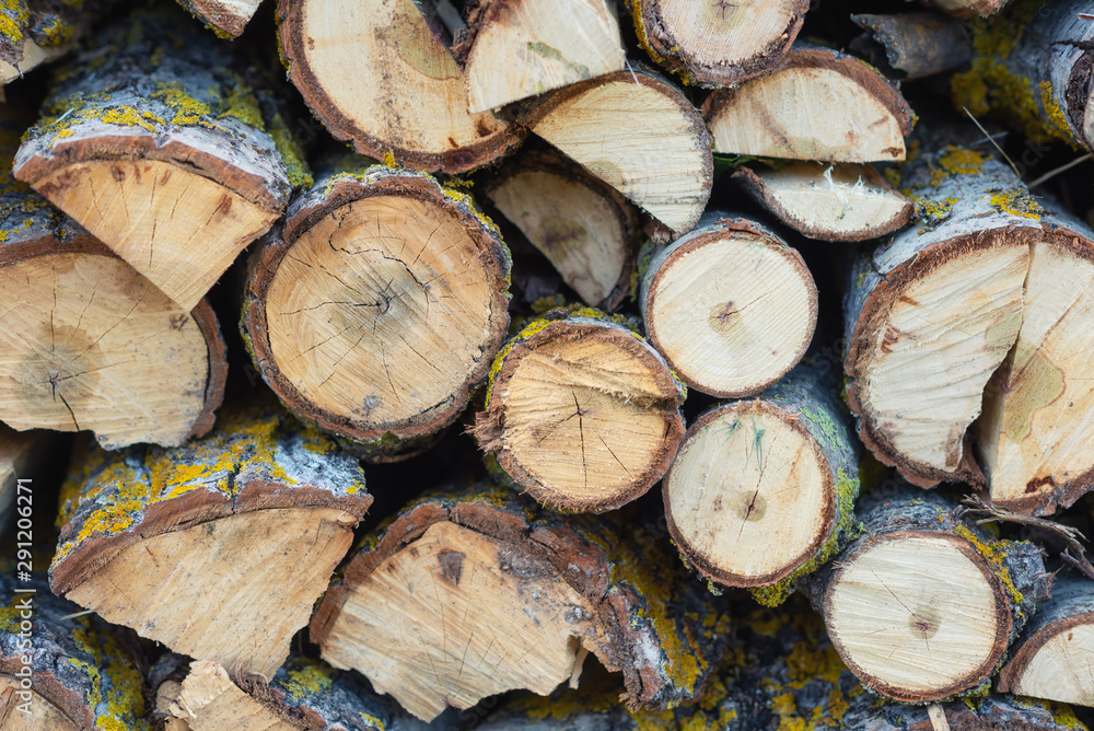Stack of logs. Stack of firewood close up. Logs cuts prepared for fireplace. Woodpile. Wood for fireplace. Wood for winter. Firewood background . Stack of logs. Stack of firewood close up. Logs cuts prepared for fireplace. Woodpile. Wood for fireplace. Wood for winter. Firewood background .