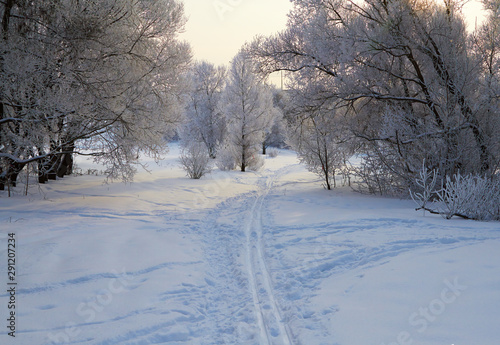 Winter landscape with snow covered tree branches © Maxim