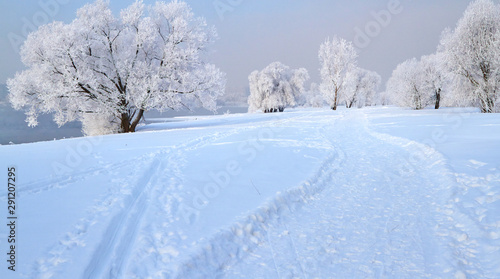 Winter landscape with snow covered tree branches