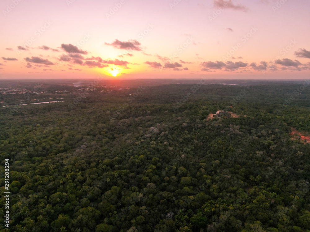 Aerial view of tropical forest during sunset Aerial view of tropical forest during sunset