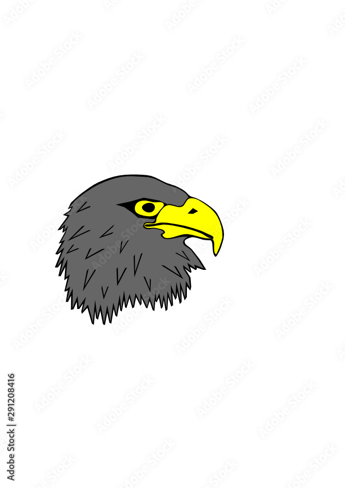 Fototapeta premium grau Steinadler Kopf Grafik Vektoren freigestellt