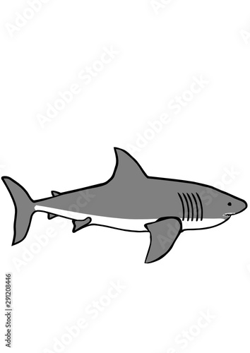 Weißer Hai großer Raubtier Vector Grafik freigestellt
