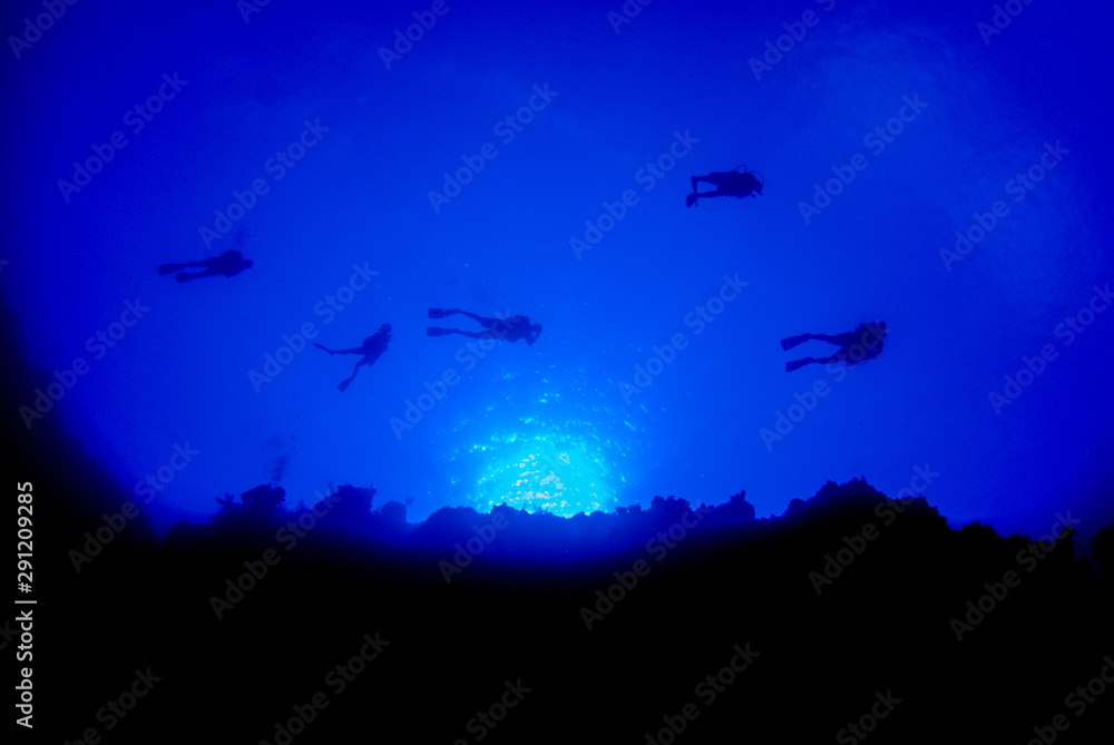 Obraz premium A silhouette shot of some scuba divers. These fun enthusiasts are exploring the wall dive in the Cayman Islands and the sun can be seen way above them