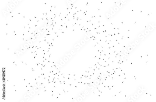 vector illustrative of group of mosquitoes flying in circle shape on white background. concept design for baby protect spray from mosquitoes. mosquito is carrier bring disease to human