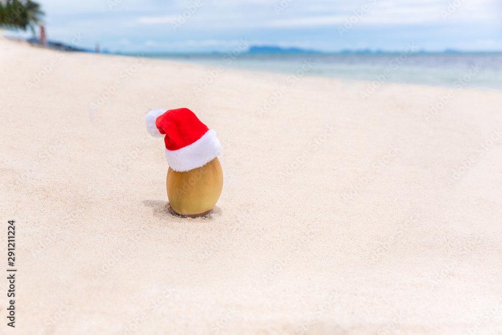 Coconut in a Santa Christmas hat in sand on a tropical beach. Holiday tropic summer concept Coconut in a Santa Christmas hat in sand on a tropical beach. Holiday tropic summer concept