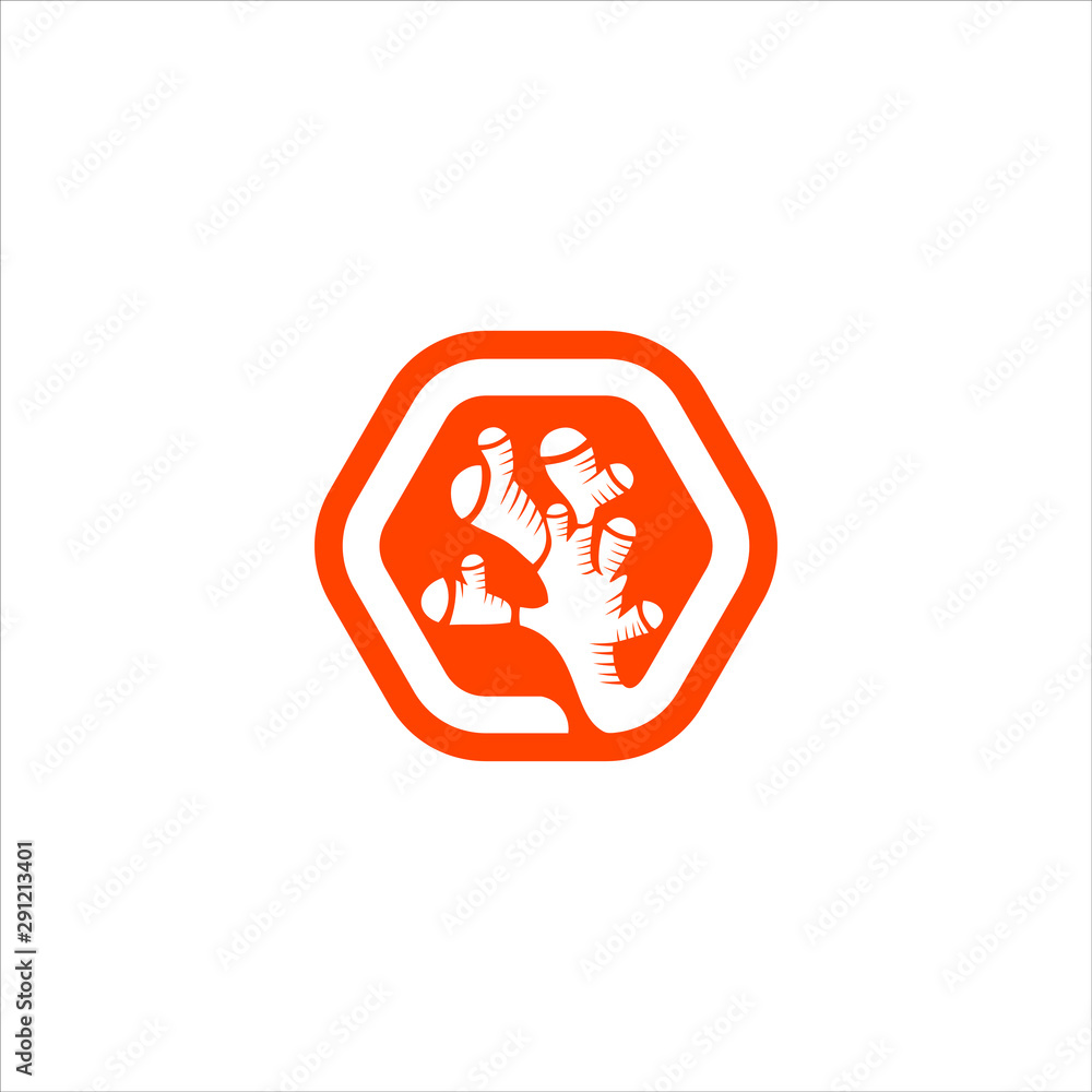 ginger root logo modern fun orange hexagon illustration of herb icon design ginger root logo modern fun orange hexagon illustration of herb icon design