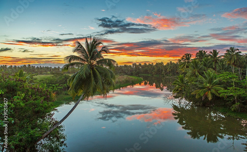 Fototapeta Naklejka Na Ścianę i Meble -  Sunset river sky clouds landscape with one palm. Sunset river water reflection view