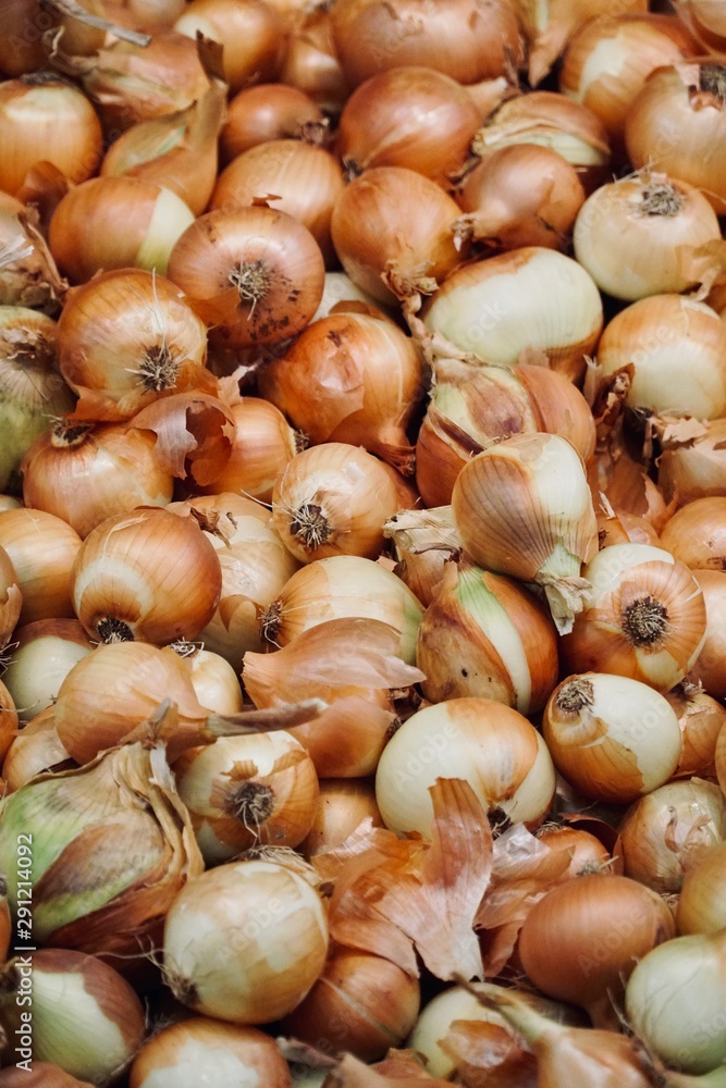 Früchte, Gemüse, Fruits, Lemon, Knoblauch, Tomaten, Zwiebel, Apple, Apfel Früchte, Gemüse, Fruits, Lemon, Knoblauch, Tomaten, Zwiebel, Apple, Apfel