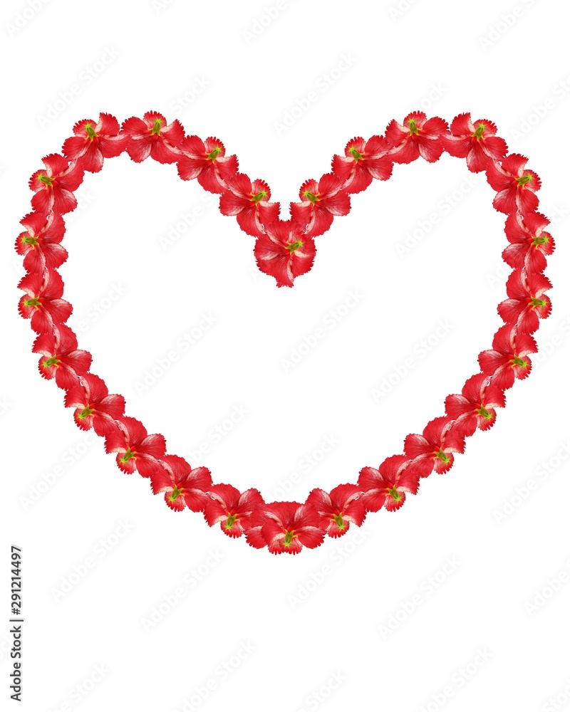 NATURE design patterns for clothes and home wallpaper hd