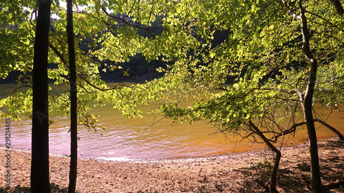 A scenic view of back lit trees on the shore of Lake Norman in North Carolina. photo