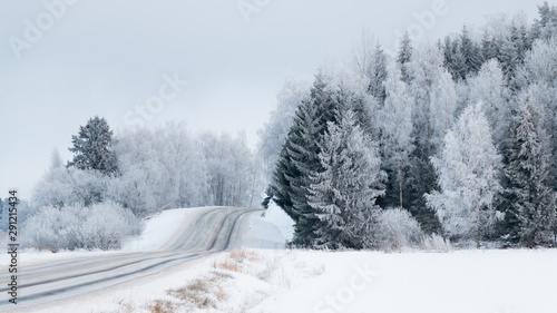 Winter road with trees covered in ime frost