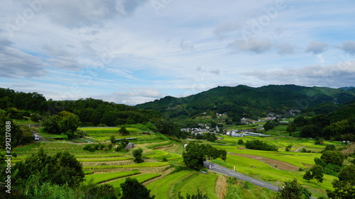 稲渕の棚田