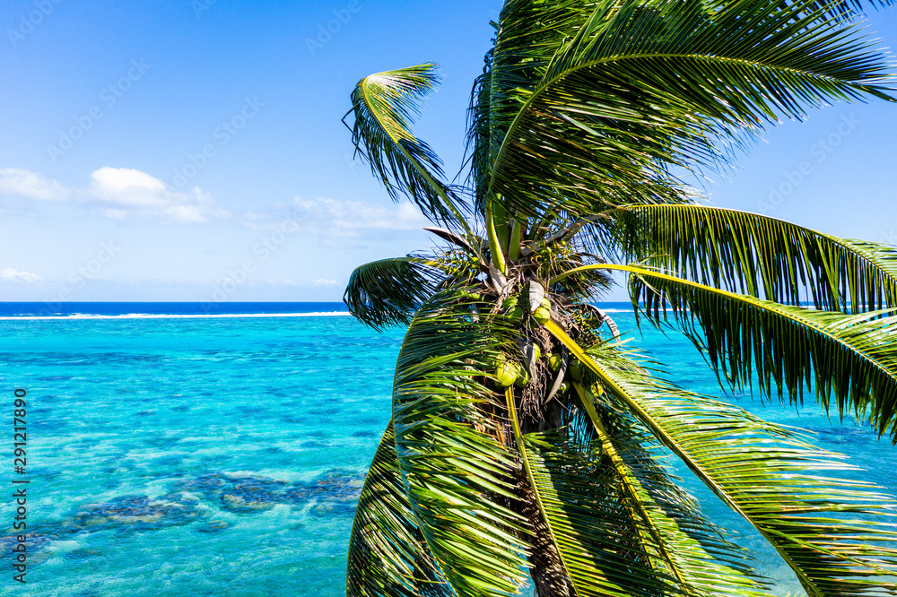 Bird eye view, Papara Tahiti, French Polynesia Stock Photo Adobe Stock
