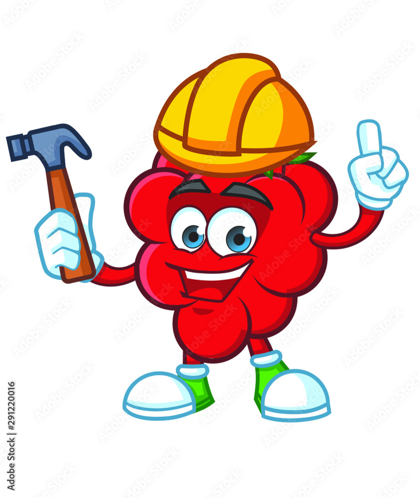 worker Raspberries Mascot character design vector