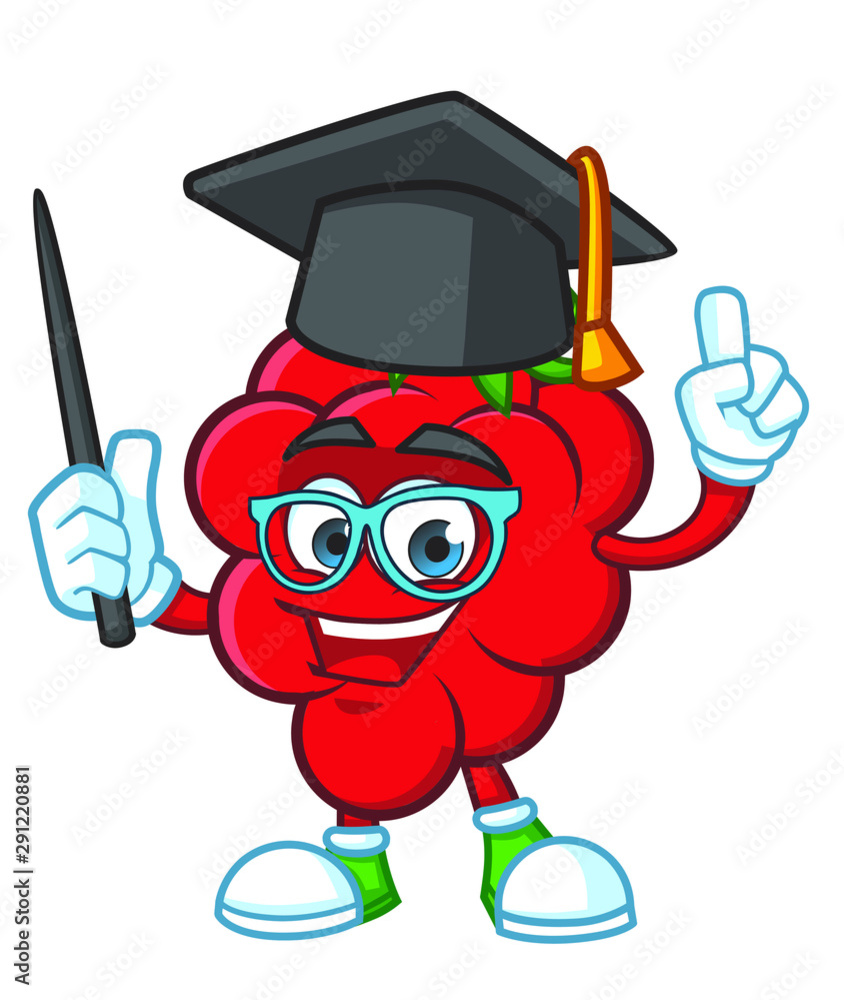 education character with graduate hat Raspberries Mascot design vector education character with graduate hat Raspberries Mascot design vector