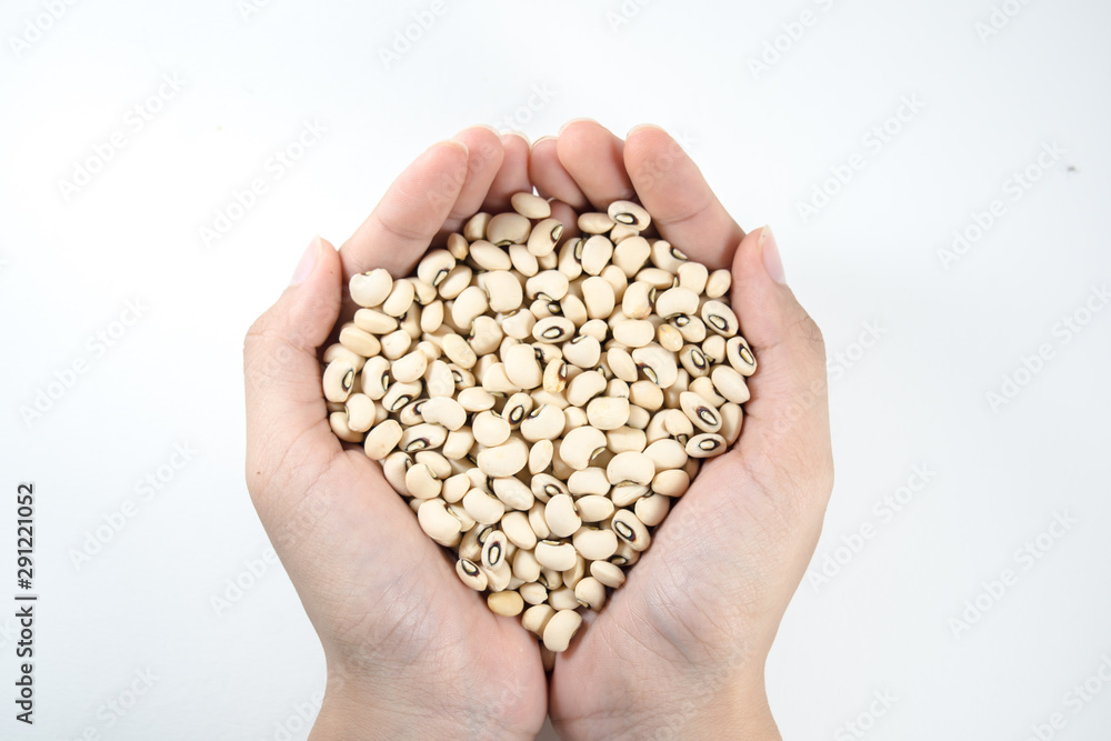 white beans in hand white beans in hand