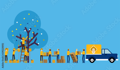 Procedures and production processes. Contribution famer concept, Product