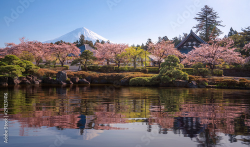 Fototapeta Sakura park and village with Fuji mountain background