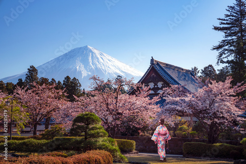Traveller in japanese kimono dress walk in a sakura park photo