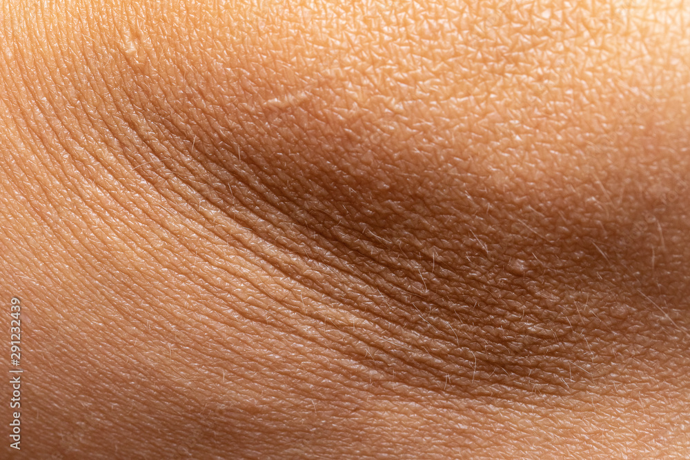 macro close up view of a human skin with wrinkles on caucasian women body macro close up view of a human skin with wrinkles on caucasian women body