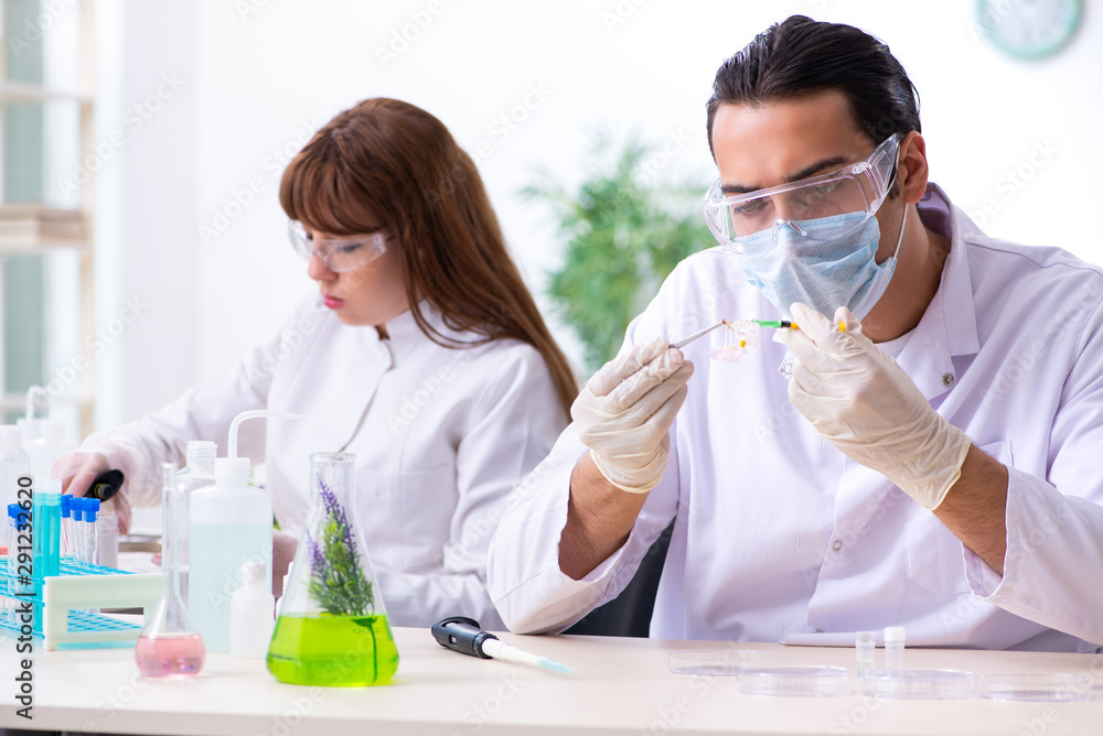 Two chemists working in the lab Two chemists working in the lab
