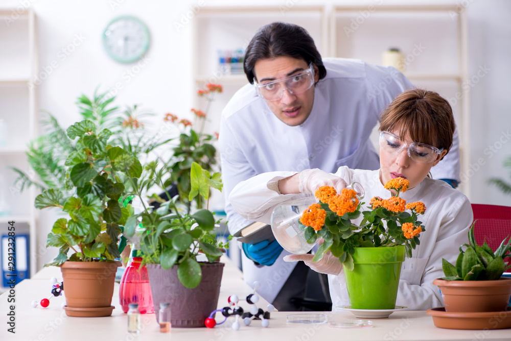 Two young botanist working in the lab