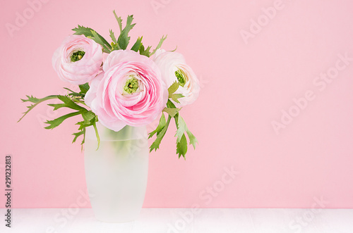 Pink buttercup flowers with green leaves in modern frosted white vase on soft light pastel background and white wood table, copy space.