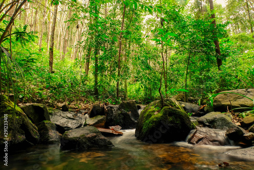 Fototapeta Naklejka Na Ścianę i Meble -  Small streams flow through abundant tropical forests in forest of Thailand,Phang Nga,Koh Yao Yai