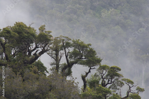 parque nacional queulat