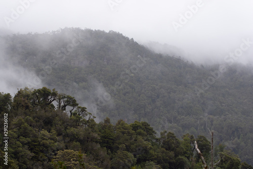 parque nacional queulat