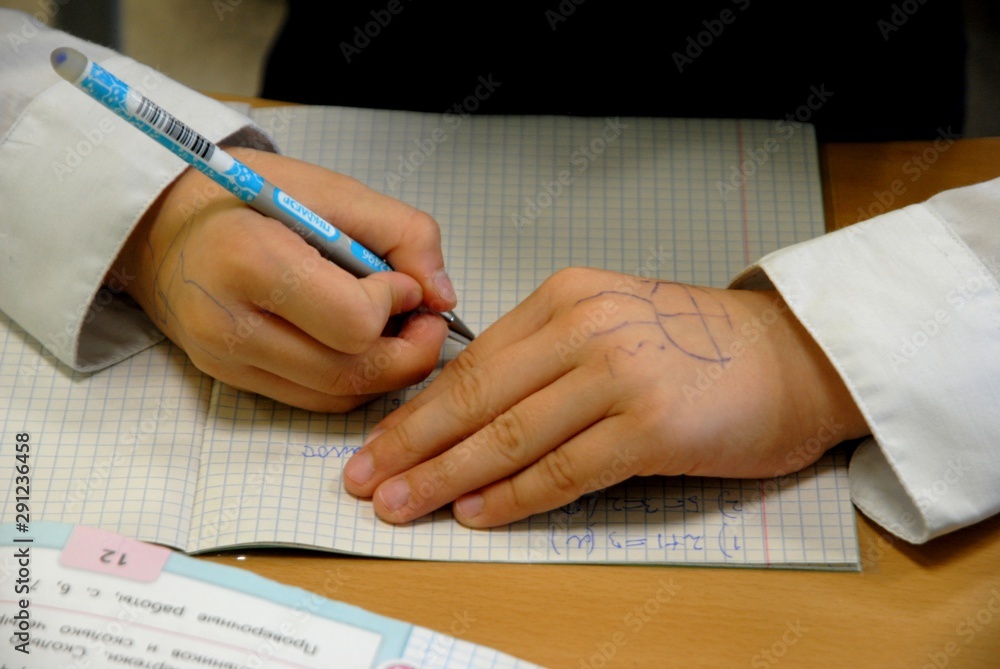 Student writes in a notebook in mathematics Student writes in a notebook in mathematics