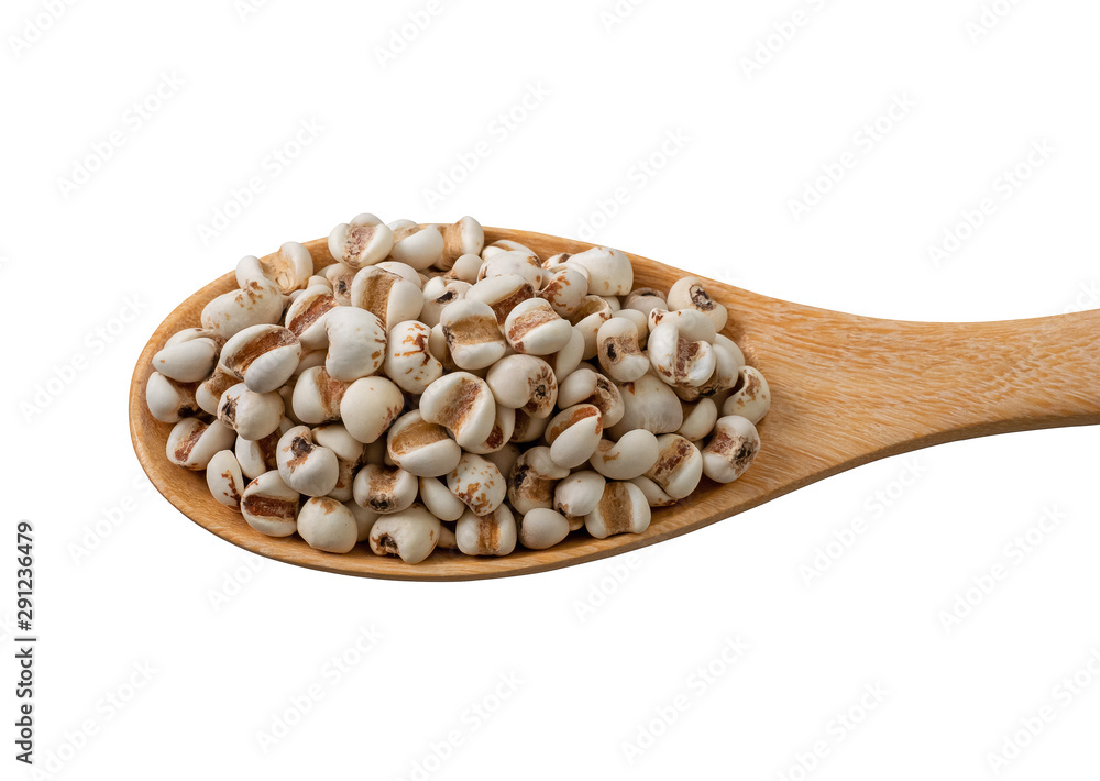 Job`s tears,Adlay,millet or Pivot in wooden spoon isolated on white background.Scientific name is Cox lacrima job.,Harb.cereal.top view. Job`s tears,Adlay,millet or Pivot in wooden spoon isolated on white background.Scientific name is Cox lacrima job.,Harb.cereal.top view.
