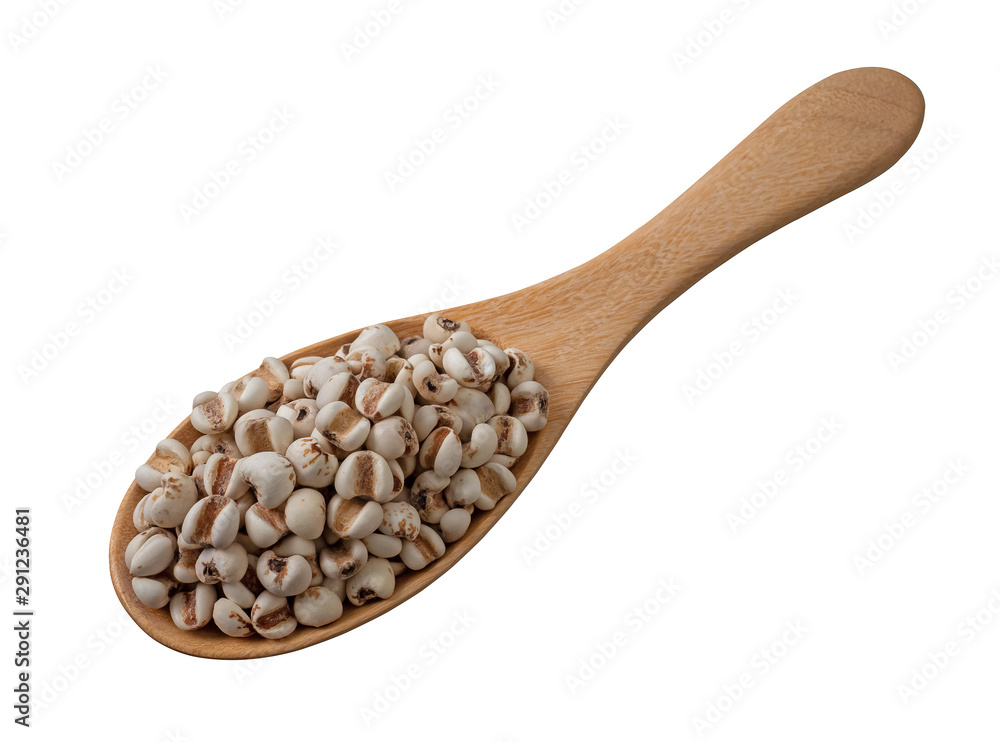 Job`s tears,Adlay,millet or Pivot in wooden spoon isolated on white background.Scientific name is Cox lacrima job.,Harb.cereal.top view. Job`s tears,Adlay,millet or Pivot in wooden spoon isolated on white background.Scientific name is Cox lacrima job.,Harb.cereal.top view.