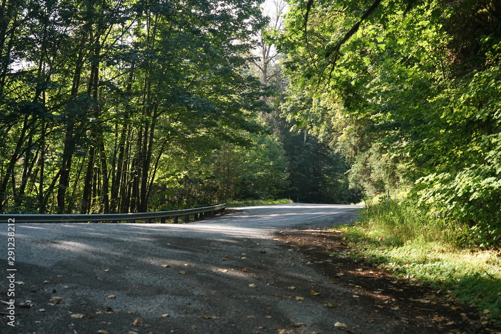 Obraz premium Mount Baker, Washington