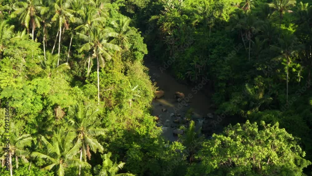 Flying over the thick tropical forests of Bali. Flying over the thick tropical forests of Bali.