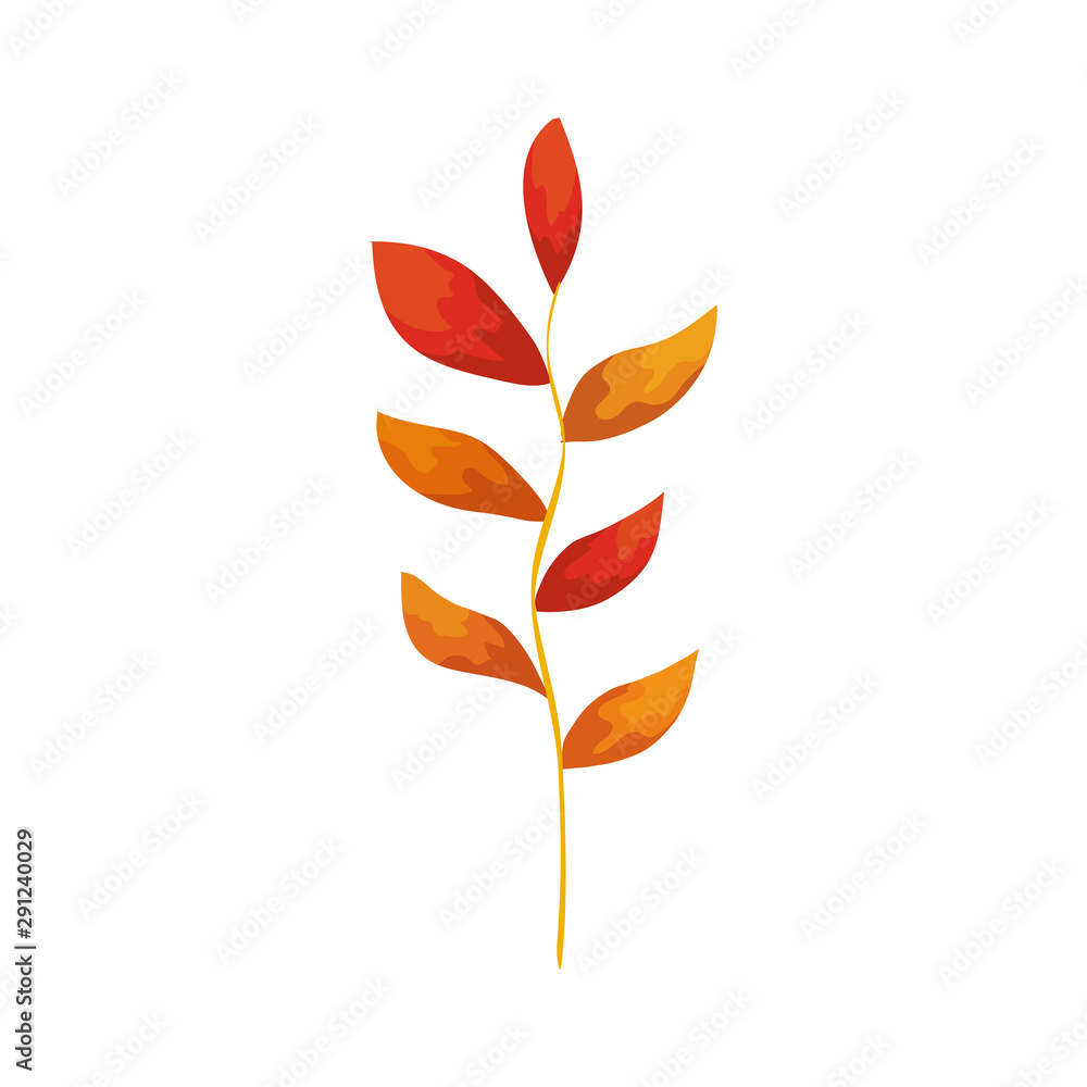 season autumn branch with leafs season autumn branch with leafs