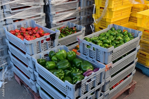 Fresh red and green sweet bell peppers  stored in crates before being shipped to the local markets. 